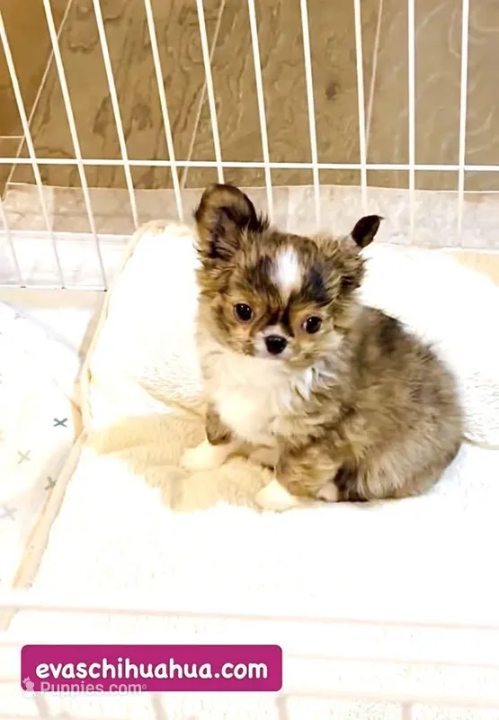 One In Million ( Rowdy )