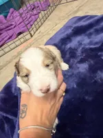 processed/59204fb2-fef6-46f9-a688-5145fe576615/listing/5d5f1d91-460c-4c77-a6a3-d4b470012825/2c624174-230f-4e97-8fe6-87edb16cbd80