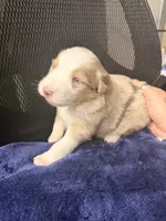 processed/59204fb2-fef6-46f9-a688-5145fe576615/listing/5d5f1d91-460c-4c77-a6a3-d4b470012825/6a79ece9-93d5-4048-a788-ecf8c9c9e3ae