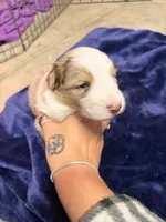 processed/59204fb2-fef6-46f9-a688-5145fe576615/listing/5d5f1d91-460c-4c77-a6a3-d4b470012825/fc5da46d-ed66-460f-89d9-e5e1dac7d29f