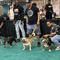 processed/5921faca-27f3-465f-91a9-21b12ddcefb8/facility/2e3e5b42-ec9e-46d2-99a2-9207c567f325