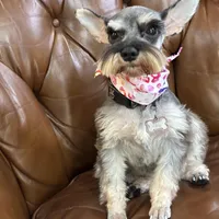 processed/5921faca-27f3-465f-91a9-21b12ddcefb8/facility/4158c904-87c7-4d5a-a1ac-337b943ec164