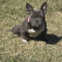 processed/5921faca-27f3-465f-91a9-21b12ddcefb8/facility/a9d94448-2a66-4873-afb5-34886de379b9