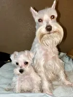 processed/5921faca-27f3-465f-91a9-21b12ddcefb8/listing/35accd13-6ffd-4302-91f6-24038ca9b695/2fd9bcc7-1888-44a2-97d2-093acb8c61b0