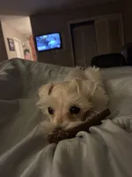 processed/5921faca-27f3-465f-91a9-21b12ddcefb8/listing/35accd13-6ffd-4302-91f6-24038ca9b695/583389d6-9c21-4384-ac3d-f85c6db2c1a5