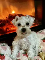 processed/5921faca-27f3-465f-91a9-21b12ddcefb8/listing/35accd13-6ffd-4302-91f6-24038ca9b695/b7110cd3-a017-4b67-bddc-afc04e1c00b8