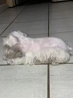 processed/5921faca-27f3-465f-91a9-21b12ddcefb8/listing/35accd13-6ffd-4302-91f6-24038ca9b695/b8b273df-42ae-4e6b-8d3d-25df2f215d0a