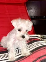 processed/5921faca-27f3-465f-91a9-21b12ddcefb8/listing/35accd13-6ffd-4302-91f6-24038ca9b695/c3fcff90-4a47-4f46-8c70-86a3f8b1889a