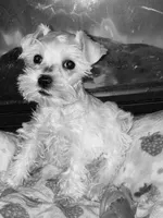 processed/5921faca-27f3-465f-91a9-21b12ddcefb8/listing/35accd13-6ffd-4302-91f6-24038ca9b695/d286257b-8f77-4739-975e-3c069471d782