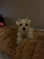 processed/5921faca-27f3-465f-91a9-21b12ddcefb8/listing/35accd13-6ffd-4302-91f6-24038ca9b695/ee25d015-76d4-4777-8835-67b1f26f125d