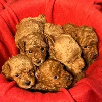 processed/59310265-af28-49ca-91b5-2058aa563a88/facility/85cc5bc3-1a79-4f29-80ea-d0d696f1d34a