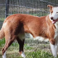 processed/5938f672-7413-4a14-8877-5d4c4ca0ffc6/facility/031d5027-f4f7-447f-a0b8-e028b44cc7a7