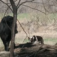 processed/5938f672-7413-4a14-8877-5d4c4ca0ffc6/facility/645e3974-86d5-43ff-a4a3-f40599333ad1