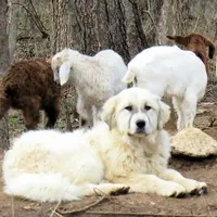 processed/5938f672-7413-4a14-8877-5d4c4ca0ffc6/facility/6d651c9f-82a3-4e73-97c6-c967ed22fe73