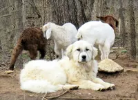 processed/5938f672-7413-4a14-8877-5d4c4ca0ffc6/facility/6d651c9f-82a3-4e73-97c6-c967ed22fe73