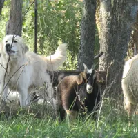 processed/5938f672-7413-4a14-8877-5d4c4ca0ffc6/facility/8ea46569-6c5b-49c6-be3f-f37916ea05f0