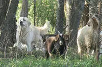 processed/5938f672-7413-4a14-8877-5d4c4ca0ffc6/facility/8ea46569-6c5b-49c6-be3f-f37916ea05f0