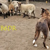 processed/5938f672-7413-4a14-8877-5d4c4ca0ffc6/facility/9757bd8e-c91d-4f99-a954-698e3dfd5248