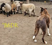 processed/5938f672-7413-4a14-8877-5d4c4ca0ffc6/facility/9757bd8e-c91d-4f99-a954-698e3dfd5248