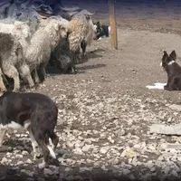 processed/5938f672-7413-4a14-8877-5d4c4ca0ffc6/facility/b2d30be5-e809-43f9-af93-71fdf7613091