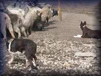 processed/5938f672-7413-4a14-8877-5d4c4ca0ffc6/facility/b2d30be5-e809-43f9-af93-71fdf7613091