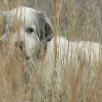 processed/5938f672-7413-4a14-8877-5d4c4ca0ffc6/facility/e5cc6f60-b0b6-4f0c-8cd6-2b894ca6e10f