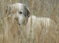 processed/5938f672-7413-4a14-8877-5d4c4ca0ffc6/facility/e5cc6f60-b0b6-4f0c-8cd6-2b894ca6e10f