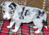 processed/5938f672-7413-4a14-8877-5d4c4ca0ffc6/listing/1ce1fa58-9bd4-4af4-bba7-d7e9d2c7843c/697ad72a-2eec-4e63-9726-7fd8fce68f82