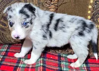 processed/5938f672-7413-4a14-8877-5d4c4ca0ffc6/listing/1ce1fa58-9bd4-4af4-bba7-d7e9d2c7843c/a2bd226e-aaf6-4f32-b0a6-b6d740984d7f