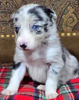 processed/5938f672-7413-4a14-8877-5d4c4ca0ffc6/listing/1ce1fa58-9bd4-4af4-bba7-d7e9d2c7843c/b567407f-7418-421a-b9a8-341d0aa97683