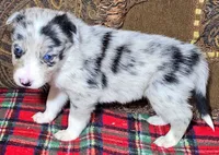 processed/5938f672-7413-4a14-8877-5d4c4ca0ffc6/listing/1ce1fa58-9bd4-4af4-bba7-d7e9d2c7843c/d4421ba3-a2cc-444b-91ca-4209dea69bb3