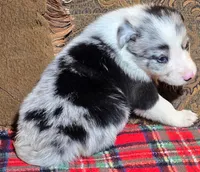 processed/5938f672-7413-4a14-8877-5d4c4ca0ffc6/listing/3fdb09d2-4b8b-4151-a4e7-fff5bd1b1b38/6f193636-30f0-4876-b0ff-cb32bf1cea58