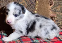 processed/5938f672-7413-4a14-8877-5d4c4ca0ffc6/listing/3fdb09d2-4b8b-4151-a4e7-fff5bd1b1b38/7534b964-3ac2-49b3-9f65-fcf4dbac55e5