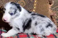 processed/5938f672-7413-4a14-8877-5d4c4ca0ffc6/listing/3fdb09d2-4b8b-4151-a4e7-fff5bd1b1b38/a0a7bcfd-c180-4969-a6cb-4ddca37993a7