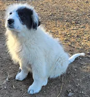 processed/5938f672-7413-4a14-8877-5d4c4ca0ffc6/listing/764a741e-2598-4b66-b9fe-7d7229205950/0b7fb4cc-be32-4de0-8487-86679b28c83b