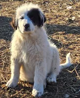 processed/5938f672-7413-4a14-8877-5d4c4ca0ffc6/listing/764a741e-2598-4b66-b9fe-7d7229205950/2629623a-b638-4f0f-9d7a-84df7d03a062