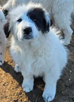 processed/5938f672-7413-4a14-8877-5d4c4ca0ffc6/listing/764a741e-2598-4b66-b9fe-7d7229205950/5557c7fc-fc97-43a0-9eba-721af3d56420