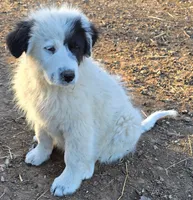 processed/5938f672-7413-4a14-8877-5d4c4ca0ffc6/listing/764a741e-2598-4b66-b9fe-7d7229205950/57ab16c4-4822-44d4-8b48-8e4aba68d12a