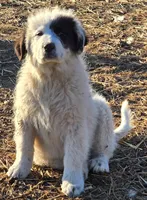 processed/5938f672-7413-4a14-8877-5d4c4ca0ffc6/listing/764a741e-2598-4b66-b9fe-7d7229205950/758eb4b4-0d5e-41fd-9403-48bc00714aae