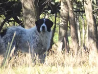 processed/5938f672-7413-4a14-8877-5d4c4ca0ffc6/listing/764a741e-2598-4b66-b9fe-7d7229205950/a1b84d9e-77a6-4e92-bf7a-99a0635619e7