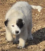 processed/5938f672-7413-4a14-8877-5d4c4ca0ffc6/listing/764a741e-2598-4b66-b9fe-7d7229205950/d00ecb25-0097-448b-b56e-3967bf2f0823