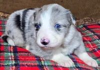 processed/5938f672-7413-4a14-8877-5d4c4ca0ffc6/listing/c9de7485-c420-4d8c-b07f-de46dcd1d1af/20d38e31-ce45-463f-b8d6-cfef48d8ed53