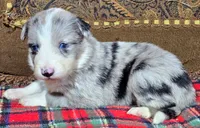 processed/5938f672-7413-4a14-8877-5d4c4ca0ffc6/listing/c9de7485-c420-4d8c-b07f-de46dcd1d1af/b65f12e7-108f-45ec-8f2b-0fc157661cee