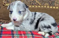 processed/5938f672-7413-4a14-8877-5d4c4ca0ffc6/listing/c9de7485-c420-4d8c-b07f-de46dcd1d1af/d529cb86-7639-4f6e-835f-1dc0154248b7