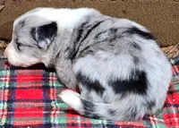 processed/5938f672-7413-4a14-8877-5d4c4ca0ffc6/listing/c9de7485-c420-4d8c-b07f-de46dcd1d1af/d7c816e7-44de-4a76-987b-c046425d31ff