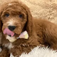 processed/593bd86f-8e6b-40fb-86bd-03336e37df9e/facility/37f141d2-298f-48b2-9616-8f3263253102