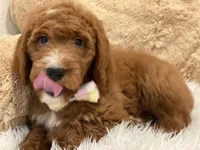 processed/593bd86f-8e6b-40fb-86bd-03336e37df9e/facility/37f141d2-298f-48b2-9616-8f3263253102