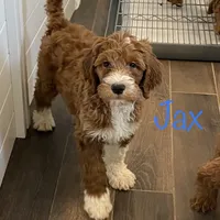 processed/593bd86f-8e6b-40fb-86bd-03336e37df9e/facility/426ae731-df65-4cba-b029-abdf75f48551