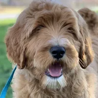 processed/593bd86f-8e6b-40fb-86bd-03336e37df9e/facility/71794b72-c52a-4226-9d4b-c1bda8995702