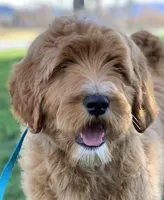 processed/593bd86f-8e6b-40fb-86bd-03336e37df9e/facility/71794b72-c52a-4226-9d4b-c1bda8995702